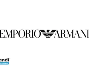 Stock lotti t-shirt firmate Emporio Armani uomo p/e