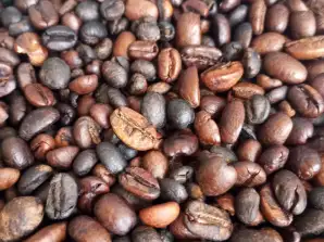 ROBUSTA coffee beans 100% - Sale in big bags of 1t - Different degrees of roasting