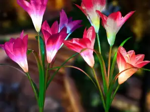 Vi presenterar: Dekorativa solblommor LilyFlow