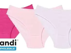 Wholesale: Women's Briefs Set of 3, Mixed Colors.