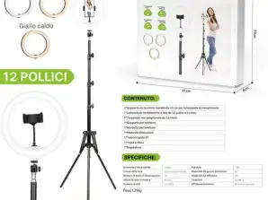 12-Zoll-LED-Selfie-Ringlicht mit 3 Farbmodi Beleuchtung für Mobiltelefone und Kamera, YouTube|Foto-Shooting|Videodreh|Livestream (Englisch)