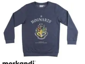 Hoodies tröjor Marvel Harry potter för barn och vuxna MIX