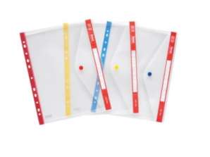 Plastidea IPRES 46598