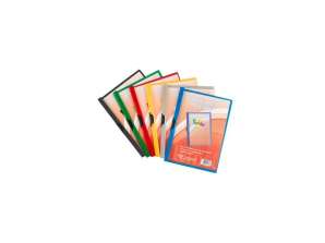 Plastidea IPRES 46355