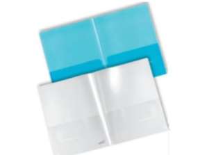 Plastidea IPRES 46586