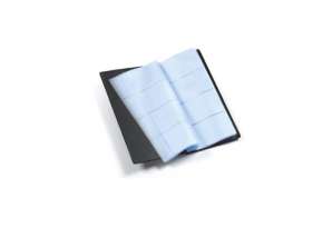 Plastidea IPRES 46508