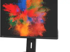 Fujitsu Siemens Display B2410 WE