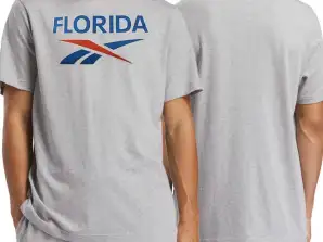 Reebok t-shirt męski szary bawełna Logo Florida 100206434