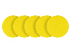 Šlifavimo diskai. Perforuotas. Velcro su skylėmis 225 mm. P40. 5 vnt.