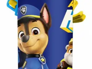 Bouteille d’eau en aluminium 600 ml PAW patrol