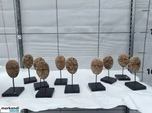 Auktion: Posten afrikanische Stein Skulpturen (10 Stück)