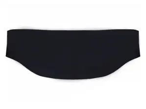 Solskjerm for vindu 156x70cm anti-frost amio 01515