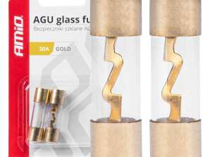 Glas Sicherungen AGU 2 Stück 30A amio 03484