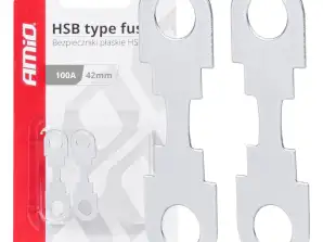 Plokšti juostiniai saugikliai 2 vnt. hsb 42mm 100a amio 03502