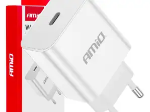 Chargeur mural 230v 20w usb c amio 03891