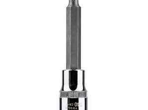 Torx uzgalis 1/2