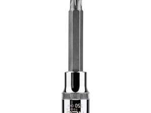 Torx uzgalis 1/2
