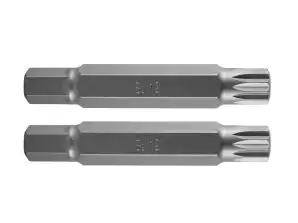 Spline Punt M12 x 75 mm. S2 x 2 stuks.