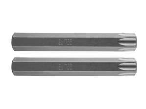 TORX konica T55 x 75 mm. S2 x 2 kos.