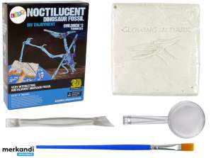 Arkeologisk Sett Utgravning Dinosaur Skelet Pteranodon