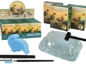 Set da scavo Conchiglie Conchiglie Tre modelli a sorpresa