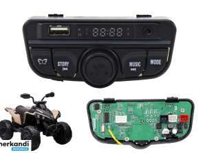 Musikpanel 12V DK CA002 NEL 13601