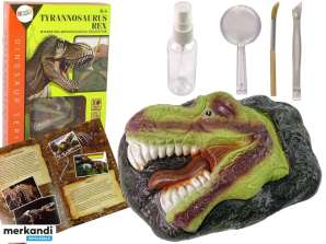 Pädagogisches Ausgrabungsset Dinosaurier Tyrannosaurus