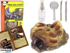 Dinosaurier Triceratops Ausgrabungs-Lehrset
