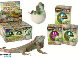 Œuf de lézard magique à couver mesurant 6 cm