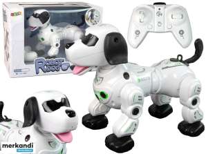 Interactive Remote Control Robot Dog
