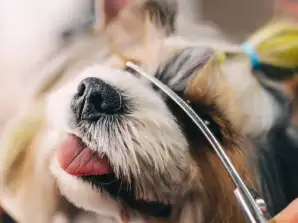 Ciseaux de toilettage pour chiens Purlov 23186