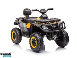 Quad per batteria S615 giallo 24V