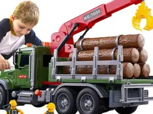 Vrachtwagen met Kraan voor Houttransport