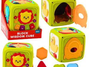 Cubo educativo interattivo per il bambino Leone Verde