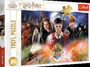 Harry Potter puslespill 300 stk. Mystisk Harry Potter 23001