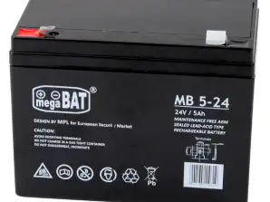 AGM Gel Battery For Vehicle 24V5AH