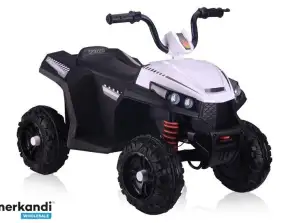 Quad Battery S601 EVA White
