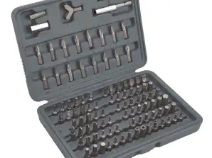 Schraubendreher-Bits mit Halter. Set 100 Stück.