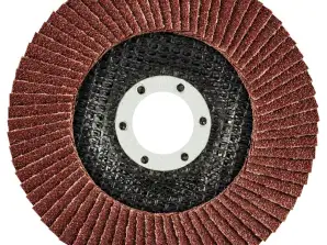 Schleifscheibe 115 x 22.2 mm, K80