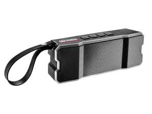 Haut-parleur Bluetooth avec fonction radio