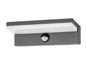 PACHIRA LED 9W