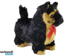 Interaktive Bewegungen des Deutschen Schäferhundes. Kiefer