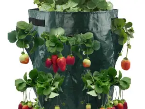 AG691A Tas voor het planten van aardbeien