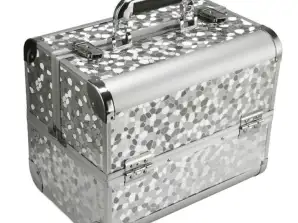 CA4A Koffer 30.5x20.5x25cm silber
