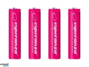 EZA102R Esperanza Akkus Ni-MH AAA 1000mAh 4St. rot