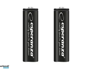 EZA105 Esperanza NiMH-Akkus Hochkapazität 2600mAh 2 Stück schwarz