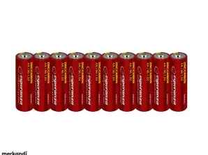EZB201 Esperanza Batterien 10 Stück