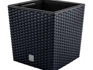 Maceta con inserto Rato Low DRTS400L antracita