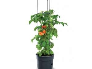Maceta para tomates Tomato Grower IPOM400