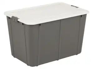 Container 60L BranQ Velur cinza escuro
